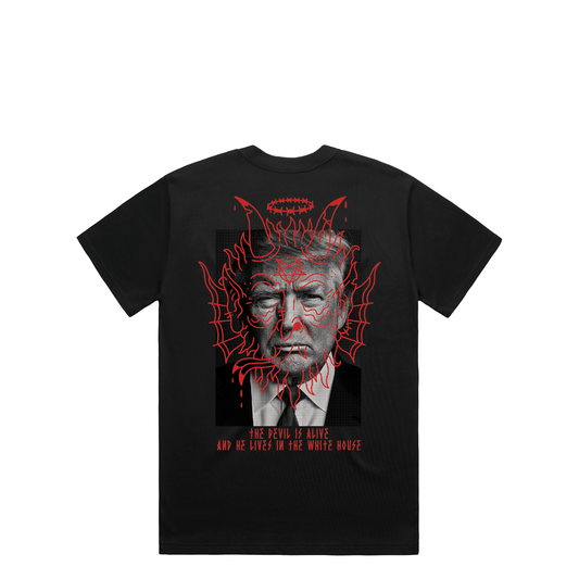 FOOLS GOLD - THE DEVIL IS ALIVE - T-SHIRT - BLACK