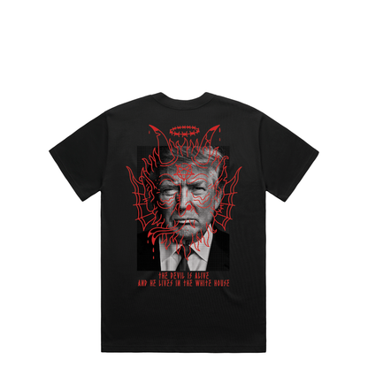 FOOLS GOLD - THE DEVIL IS ALIVE - T-SHIRT - BLACK